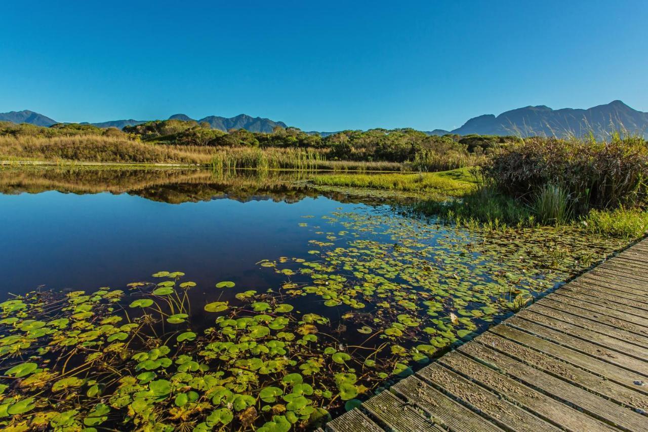 The Manor House At Fancourt Hotel George Buitenkant foto